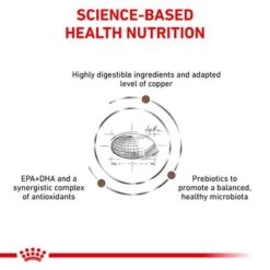 Royal Canin Veterinary - Hepatic HP 26 13 Royal Canin Veterinary - Hepatic HP 26 -Pet Supplies Store rc vet dry catgastrohe eretailkit b1 page 4 7