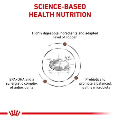 Royal Canin Veterinary - Hepatic HP 26 6 Royal Canin Veterinary - Hepatic HP 26 - Image 4