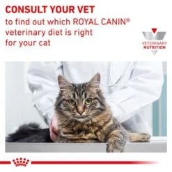 Royal Canin Veterinary Feline Hypoallergenic 16 Royal Canin Veterinary Feline Hypoallergenic -Pet Supplies Store rc vet dry cathypo b1 page 7 2