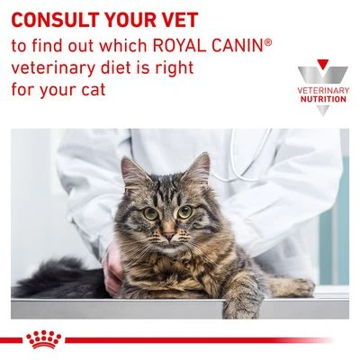 Royal Canin Veterinary Feline Hypoallergenic 9 Royal Canin Veterinary Feline Hypoallergenic - Image 7