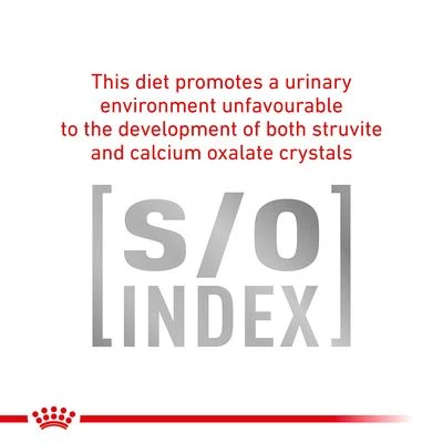 Royal Canin Veterinary Cat - Urinary S/O 10 Royal Canin Veterinary Cat - Urinary S/O - Image 8