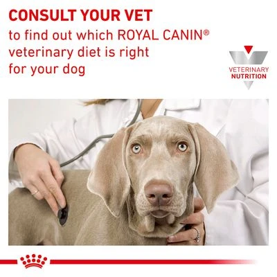 Royal Canin Veterinary Canine Skin Care 8 Royal Canin Veterinary Canine Skin Care - Image 6