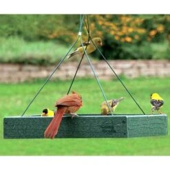 Recycled Plastic Platform Bird Feeder 5 Recycled Plastic Platform Bird Feeder -Pet Supplies Store recycled plastic platform bird feeder 00 01 25 feeders woodlink birdhousesandbaths 204
