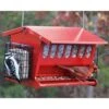 Seeds & More Double Sided Bird Feeder 1 Seeds & More Double Sided Bird Feeder -Pet Supplies Store seeds double sided bird feeder 25 01 50 00 feeders heritage farms birdhousesandbaths 228