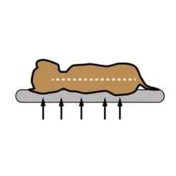 Pawz & Pepper Denver Ortho Dog Cushion 14 Pawz & Pepper Denver Ortho Dog Cushion -Pet Supplies Store skizze memory foam 1