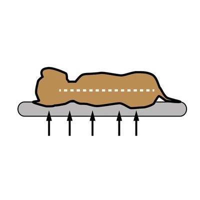 Pawz & Pepper Denver Ortho Dog Cushion 7 Pawz & Pepper Denver Ortho Dog Cushion - Image 5