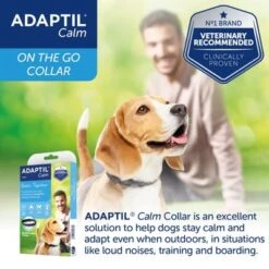 ADAPTIL® Calm Collar For Dogs -Pet Supplies Store small collar 1 7