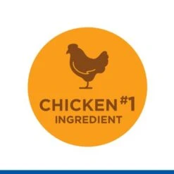Hill's Science Plan Hill’s Science Plan Mature Adult 7+ No Grain With Chicken 14 Hill's Science Plan Hill’s Science Plan Mature Adult 7+ No Grain With Chicken -Pet Supplies Store sp no grain flavours chicken 4