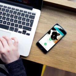 SureFlap Microchip Pet Door Connect -Pet Supplies Store sureflap microchip petdoorconnect hs 13 1