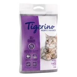 Tigerino Performance Cat Litter - Special Price!* -Pet Supplies Store tigerino performance grain 12kg 1000x1000 6 1