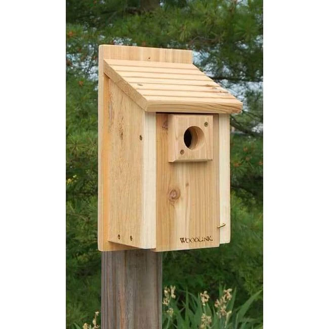 Traditional Bluebird House 3 Traditional Bluebird House
