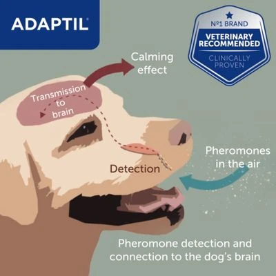 ADAPTIL® Transport Spray 6 ADAPTIL® Transport Spray - Image 4