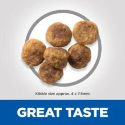 Hill's Science Plan Hill’s Science Plan Adult 1-6 Small & Mini With Lamb & Rice -Pet Supplies Store uk dog adult s m lamb kibbles 7