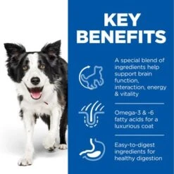 Hill's Science Plan Hill’s Science Plan Adult 7+ Senior Vitality Medium With Chicken 13 Hill's Science Plan Hill’s Science Plan Adult 7+ Senior Vitality Medium With Chicken -Pet Supplies Store uk dog ma medium yv chicken transition benefits 2