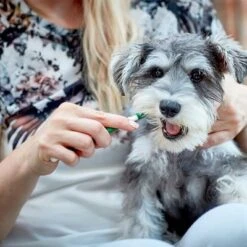 Vet's Best® Dental Care Set For Dogs -Pet Supplies Store v317310 vetsbest dentalcare kit hs 09 3