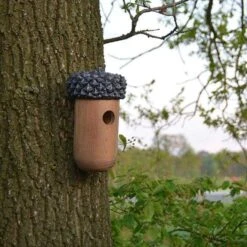 ESSCHERT DESIGN Wooden Acorn Bird House 8 ESSCHERT DESIGN Wooden Acorn Bird House -Pet Supplies Store wooden acorn bird house 00 01 25 esschert design birdhousesandbaths 285