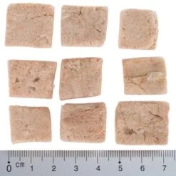 Wolf Of Wilderness RAW Freeze-dried Snacks Saver Packs 16 Wolf Of Wilderness RAW Freeze-dried Snacks Saver Packs -Pet Supplies Store wow fd snack blue river cubes with ruler 4 1