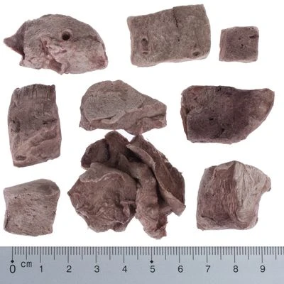 Wolf Of Wilderness RAW Freeze-dried Snacks Saver Packs 7 Wolf Of Wilderness RAW Freeze-dried Snacks Saver Packs - Image 5