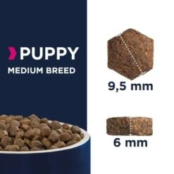 Eukanuba Puppy Medium Breed Chicken 8 Eukanuba Puppy Medium Breed Chicken -Pet Supplies Store xxxx puppy mediumbreed kibble 8
