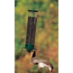 Yankee Flipper Squirrel Proof Bird Feeder 9 Yankee Flipper Squirrel Proof Bird Feeder -Pet Supplies Store yankee flipper squirrel proof bird feeder 125 01 150 00 feeders droll yankees birdhousesandbaths 198