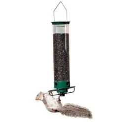 Yankee Flipper Squirrel Proof Bird Feeder 10 Yankee Flipper Squirrel Proof Bird Feeder -Pet Supplies Store yankee flipper squirrel proof bird feeder 125 01 150 00 feeders droll yankees birdhousesandbaths 731