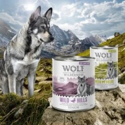Wolf Of Wilderness Senior "Free-Range" 6 X 800g -Pet Supplies Store zop 21 048 wow nafu senior 800g 400g moodv2 6